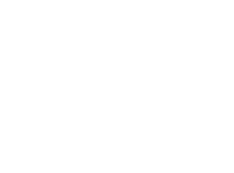 Petra_logo_white